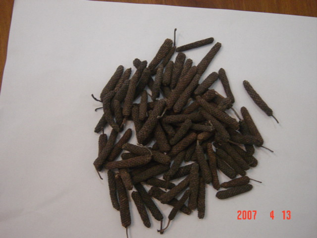  Long Pepper (Длинный перец)