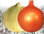  Onion Red And Yallow From Egypt (Oignon rouge et Yallow De l`Egypte)