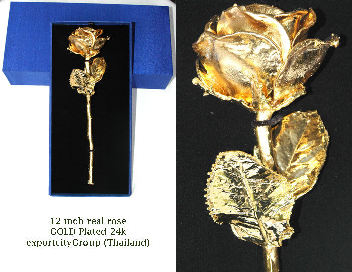  12 Inches Real Rose Dipped In Gold 24k