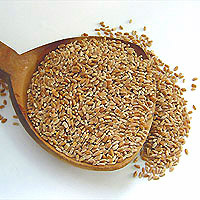  Pakistani Milling Wheat (Pakistanischen Milling Wheat)