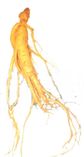 Bio-Ginseng (Bio-Ginseng)