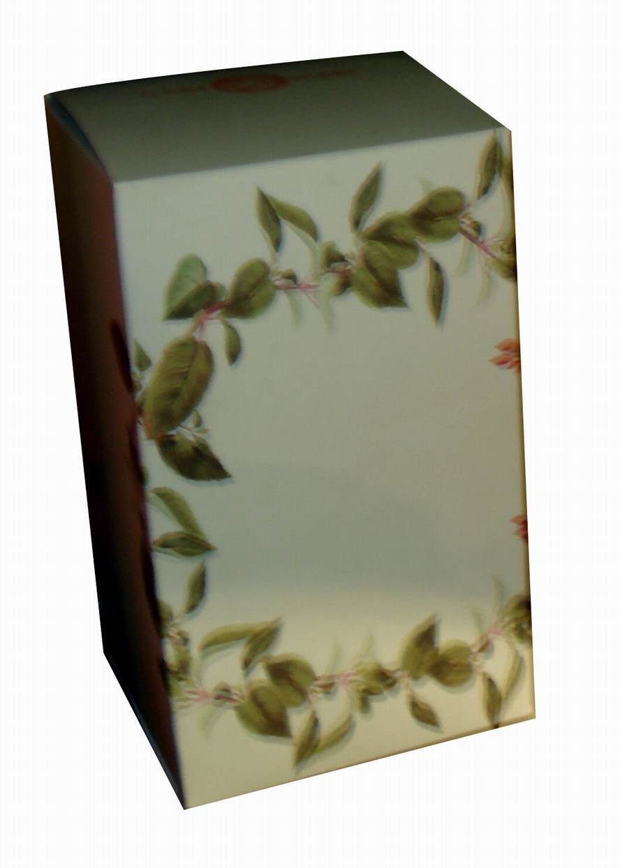  Paper Box (Paper Box)