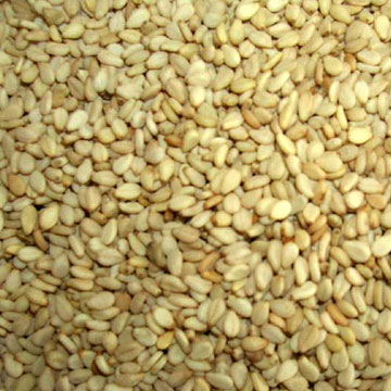  Sesame Seed (Graines de sésame)