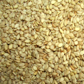  Sesame Seed (Sesam)