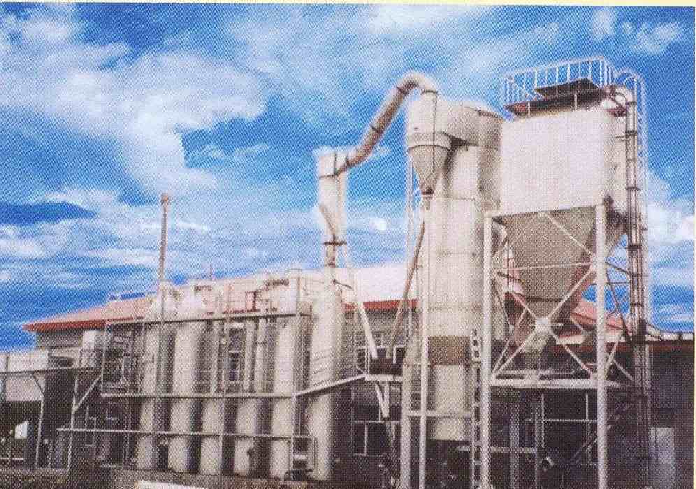 Biomassevergasung Power Generation (Biomassevergasung Power Generation)