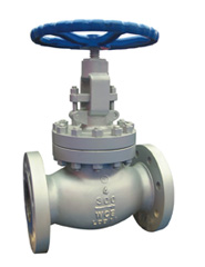  Globe Valve