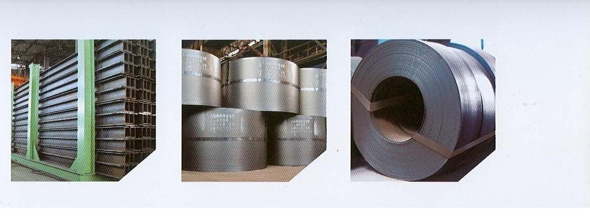  Steel Strip (Feuillard d`acier)