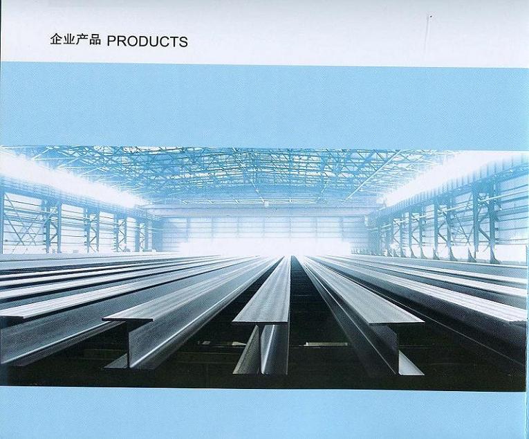  H Steel (H en acier)