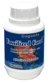  Fossilized Coral (Ископаемый коралловый)