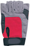  Cycle Gloves ( Cycle Gloves)
