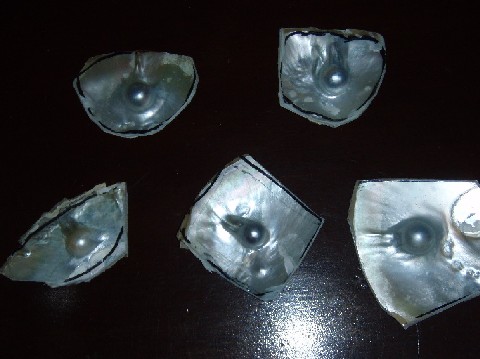  Mabe Pearl