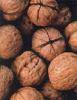  Walnuts (Noix)