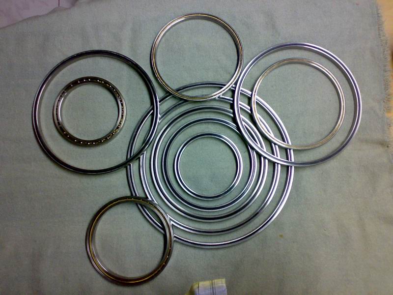  Kaydon Bearing