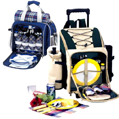  Picnic Bag