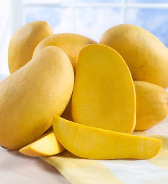  Mango (Mango)