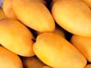  Alphonso Mangoes (Alphonso Mango)