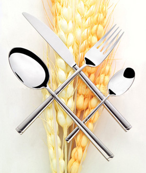  Stainless Steel Cutlery (Edelstahl Besteck)