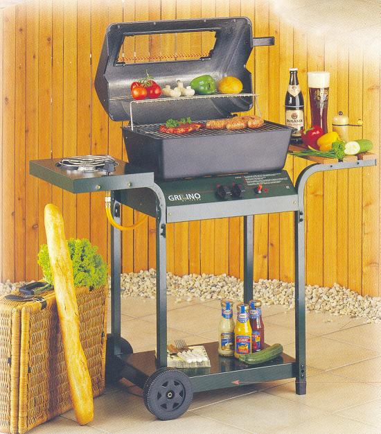  Gas BBQ Grill (Barbecue à gaz Grill)