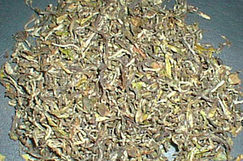  Gopaldhara Wonder Tea First Flush 2007 (Gopaldhara Wonder Чай Первый флеш 2007)