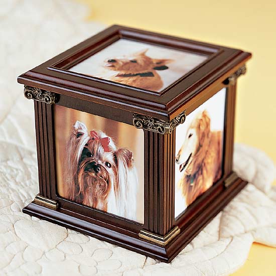  Photo Box (Photo Box)