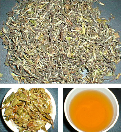  Darjeeling Tea (Darjeeling Tee)