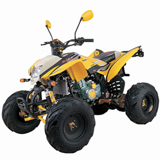  EEC Approved ATV 200cc (Утвержденный ЕЭС ATV 200cc)