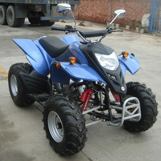  EEC Approved ATV 300cc (Утвержденный ЕЭС ATV 300cc)