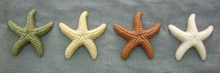  Starfish Paperweight ( Starfish Paperweight)