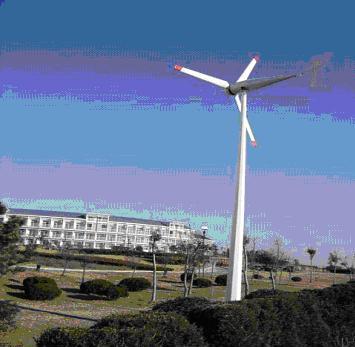  Wind Mill (Wind Mill)