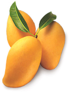  Mangos