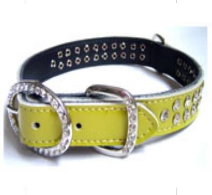  Dog Collar (Hundehalsband)