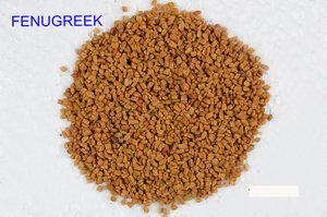  Fenugreek (Fenugrec)