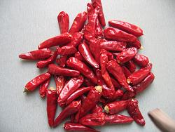  Dried Chili (Getrocknete Chili)