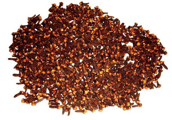  Clove Indonesian Origin (Gewürznelke indonesischen Ursprungs)