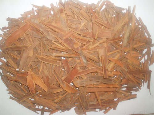  Cassia / Cinnamon (Cassia / Cannelle)