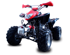  ATV / Quad 250cc (ATV / Quad 250cc)