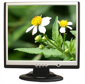 17 Inch LCD Monitor