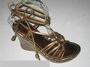  Fashion Shoes ( )