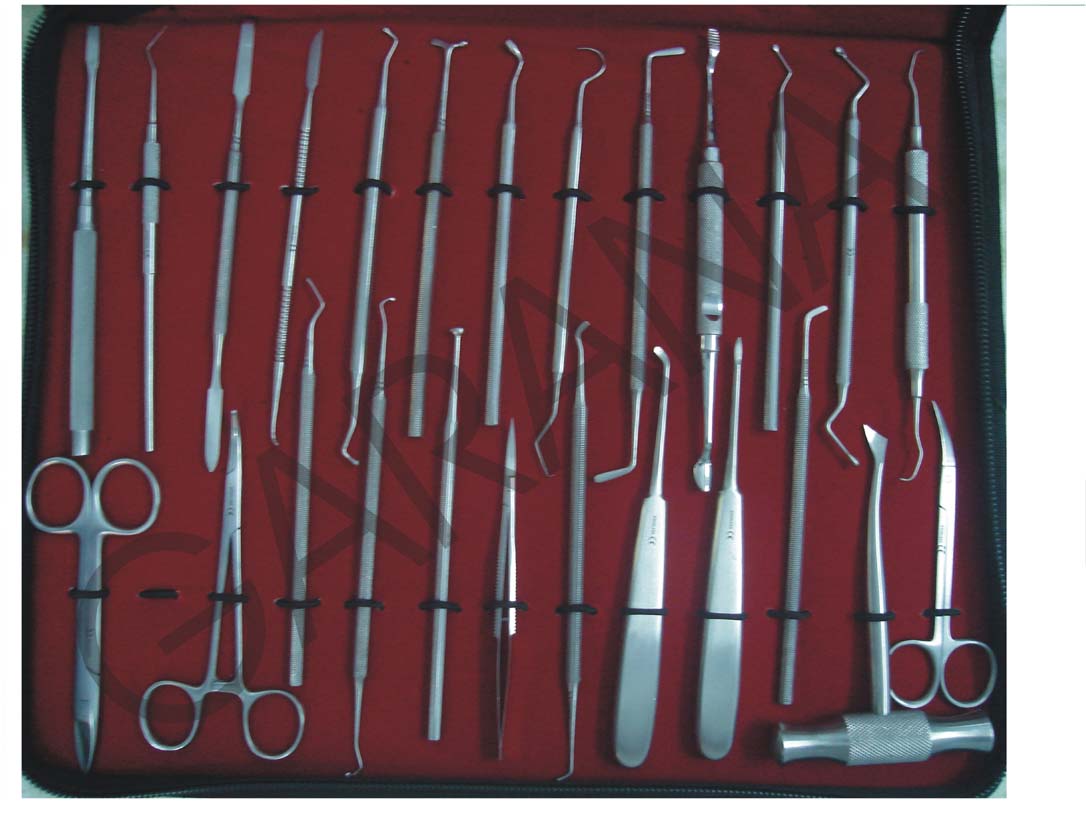  Dental Kit (Dental Kit)