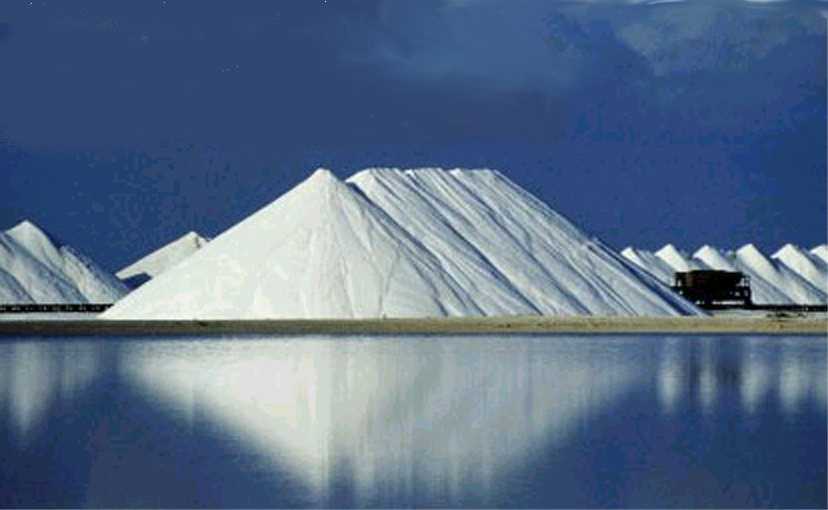  Raw Salt (Raw Salt)