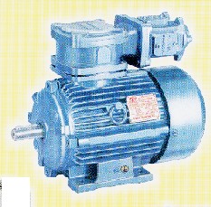  Flame Proof Electric Motor (Flame Proof Electric Motor)