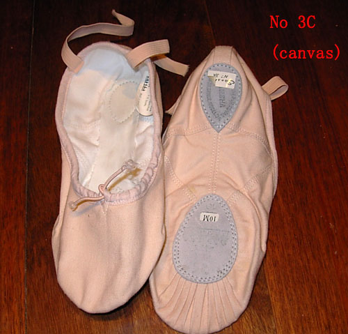  Canvas Ballet Shoes (Холст Ballet Shoes)