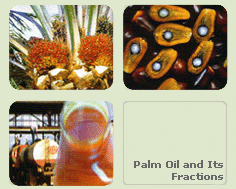 Rohöl und raffiniertes Palmöl (Rohöl und raffiniertes Palmöl)