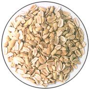  Roasted Peanut (Arachides grillées)