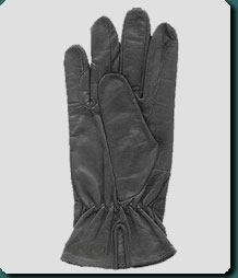  Riding Gloves (Riding Gloves)