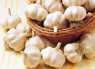  Garlic (Чеснок)