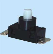  Push-Button Switch