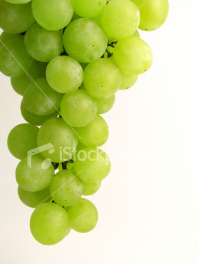 Grapes (Виноград)