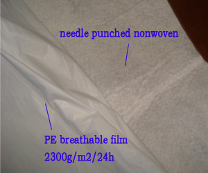  PE Breathable Film Coated Nonwoven Fabric (PE respirant enrobé de non-tissés)