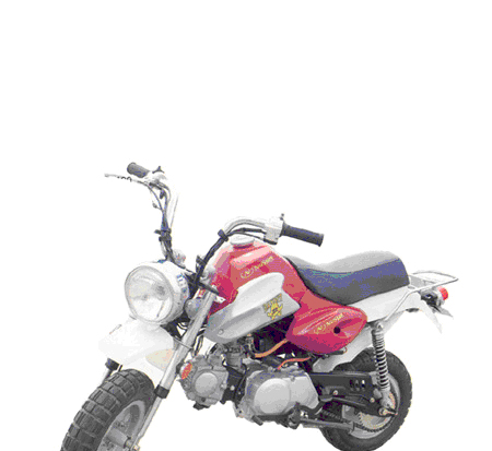 Dirt Bike (Dirt Bike)